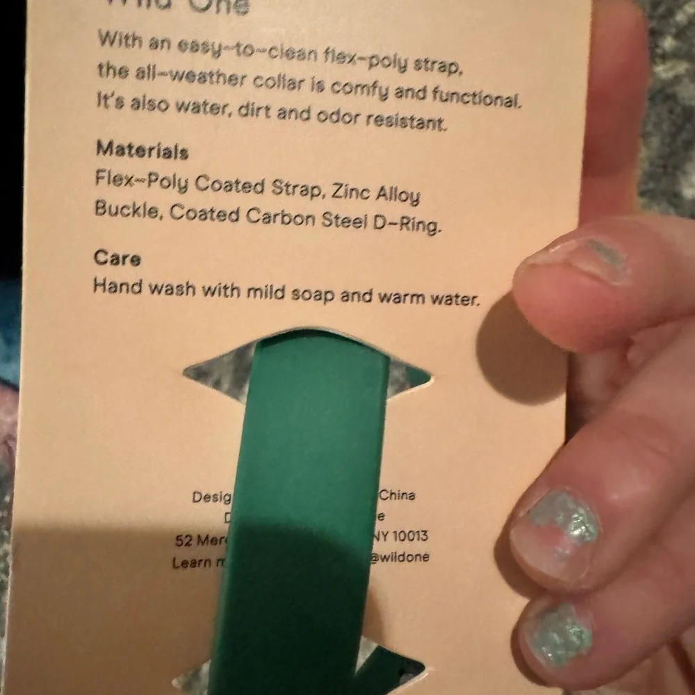 NWT Size Small Wild One Green Dog Collar